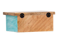 Wandboard Santa Cruz 23cm