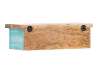 Wandboard Santa Cruz 33cm