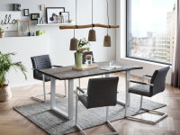 Tischgruppe Bullwer Grau mit 4 Stühlen Picton grau/weiß